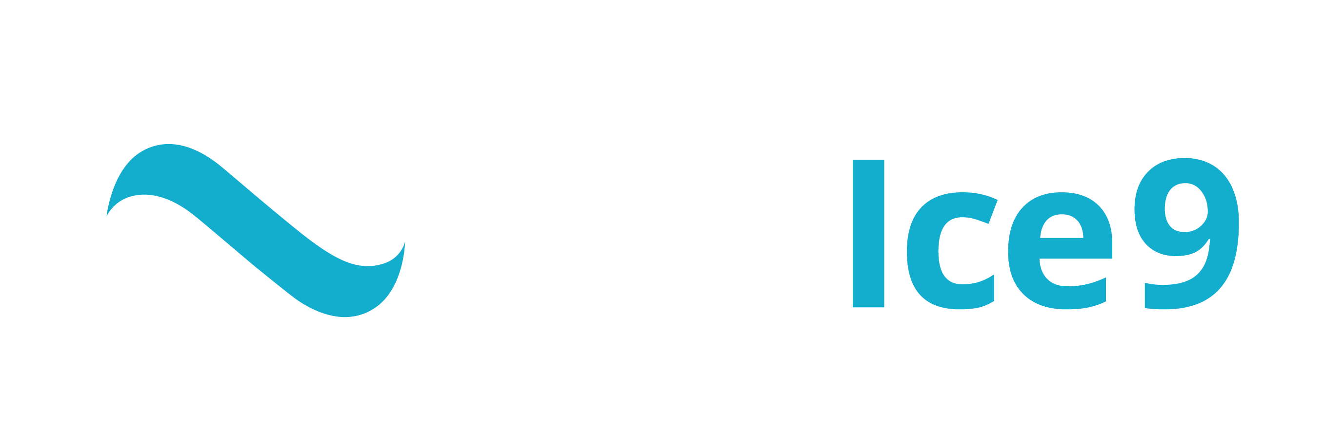NetIce9 Ltd